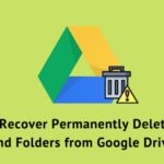 Recover Permanently Deleted Files and Folders from Google Drive